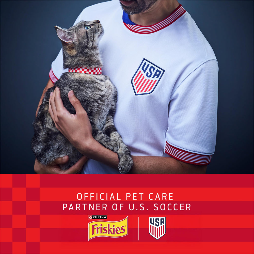 Friskies textura de salsa espesa con hebras que atrae al gato por aroma