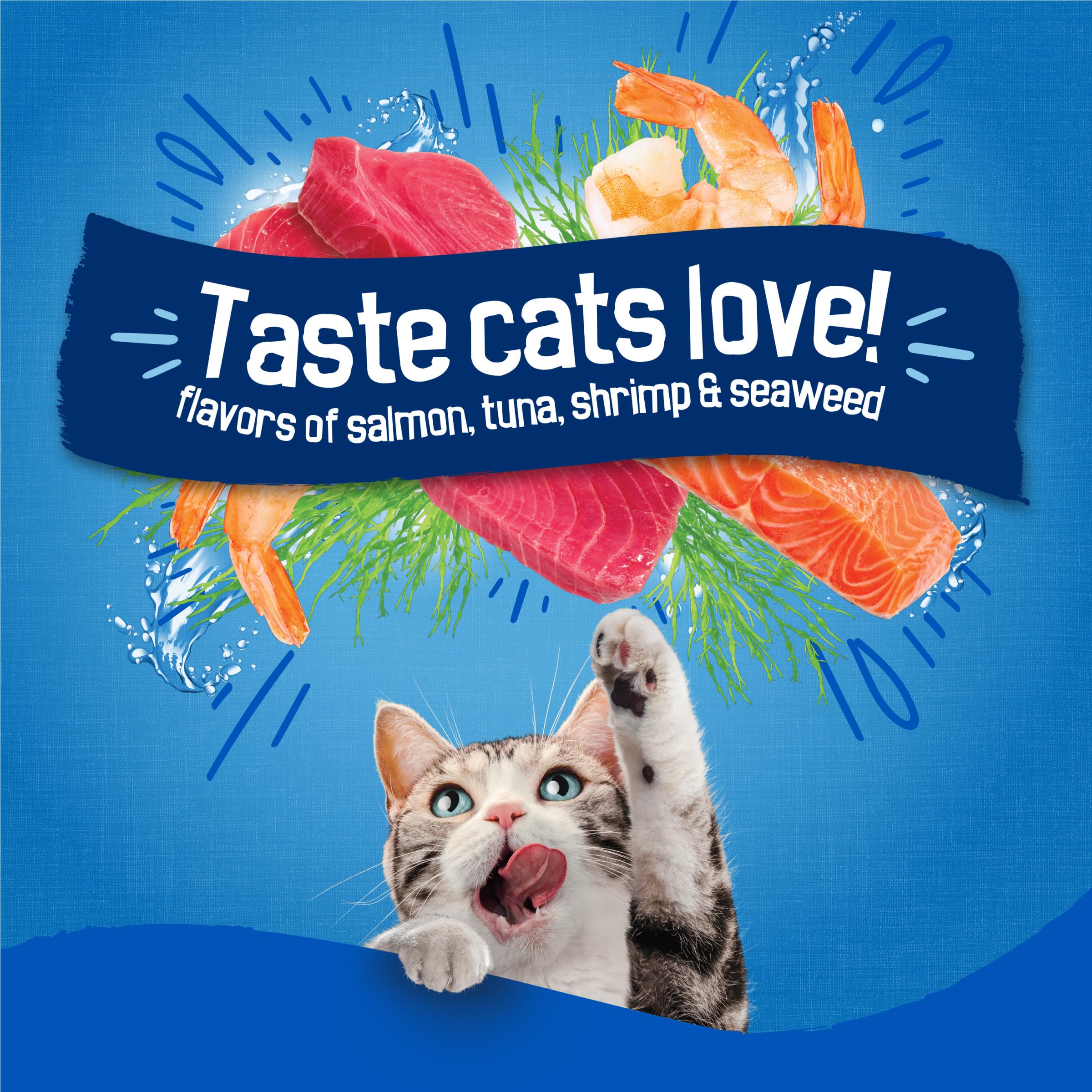 Friskies croquetas servidas en un plato para estimular apetito felino
