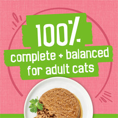 Friskies porción servida en plato para control de ración y frescura