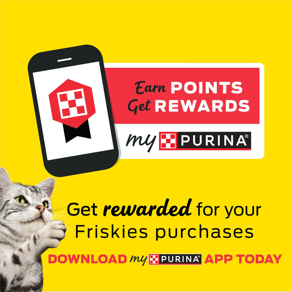 Friskies close-up de salsa gravy brillante que realza el sabor