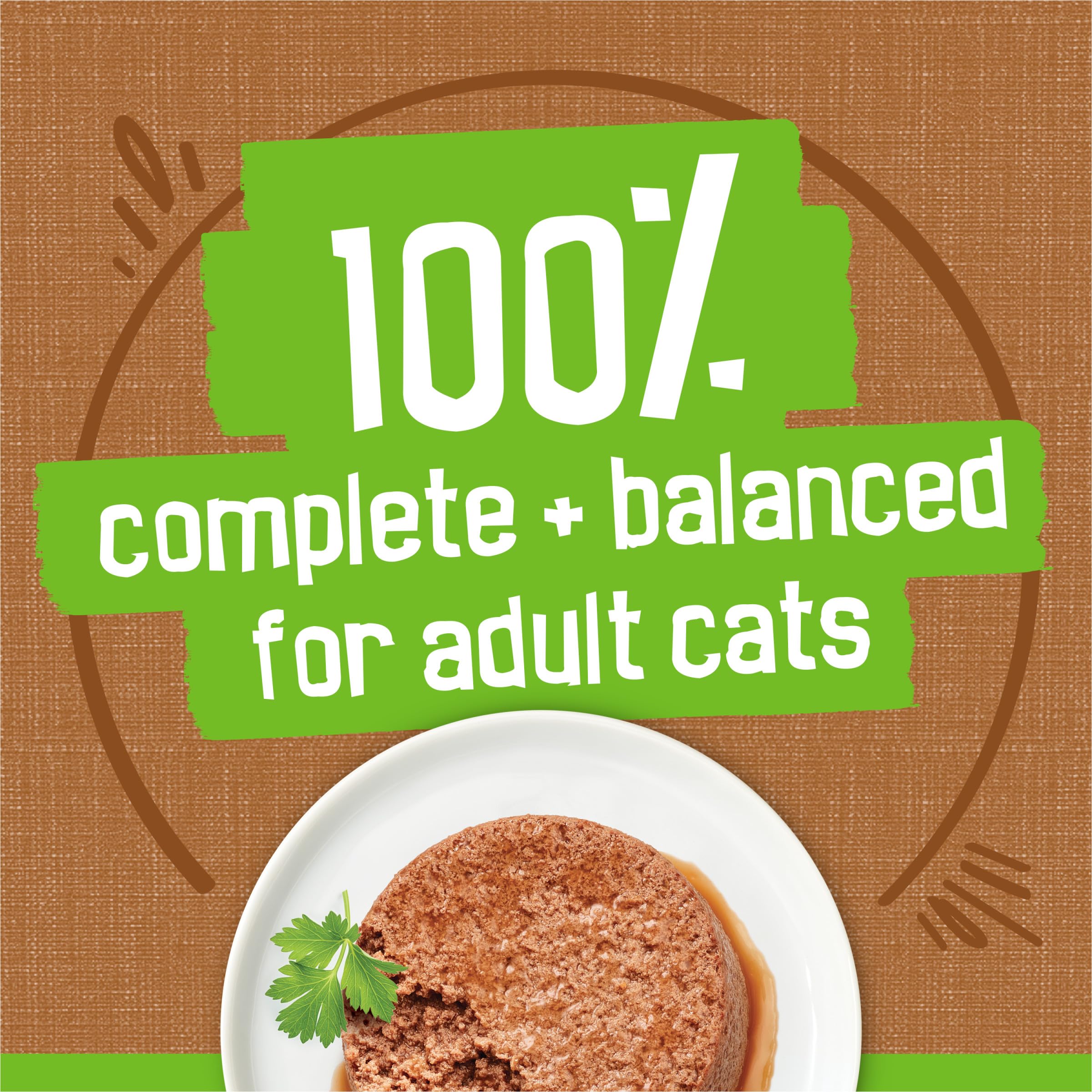 Friskies gato comiendo del plato disfrutando sabor apetecible