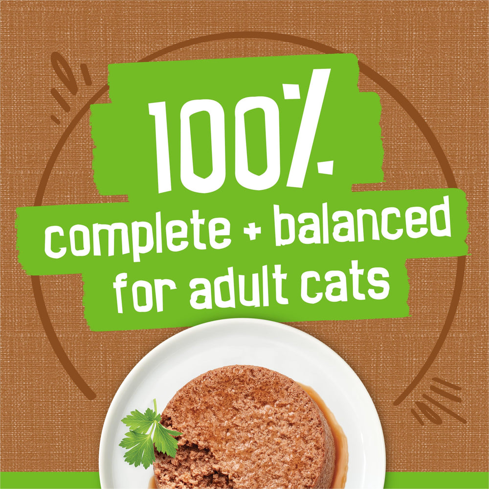 Friskies gato comiendo del plato disfrutando sabor apetecible