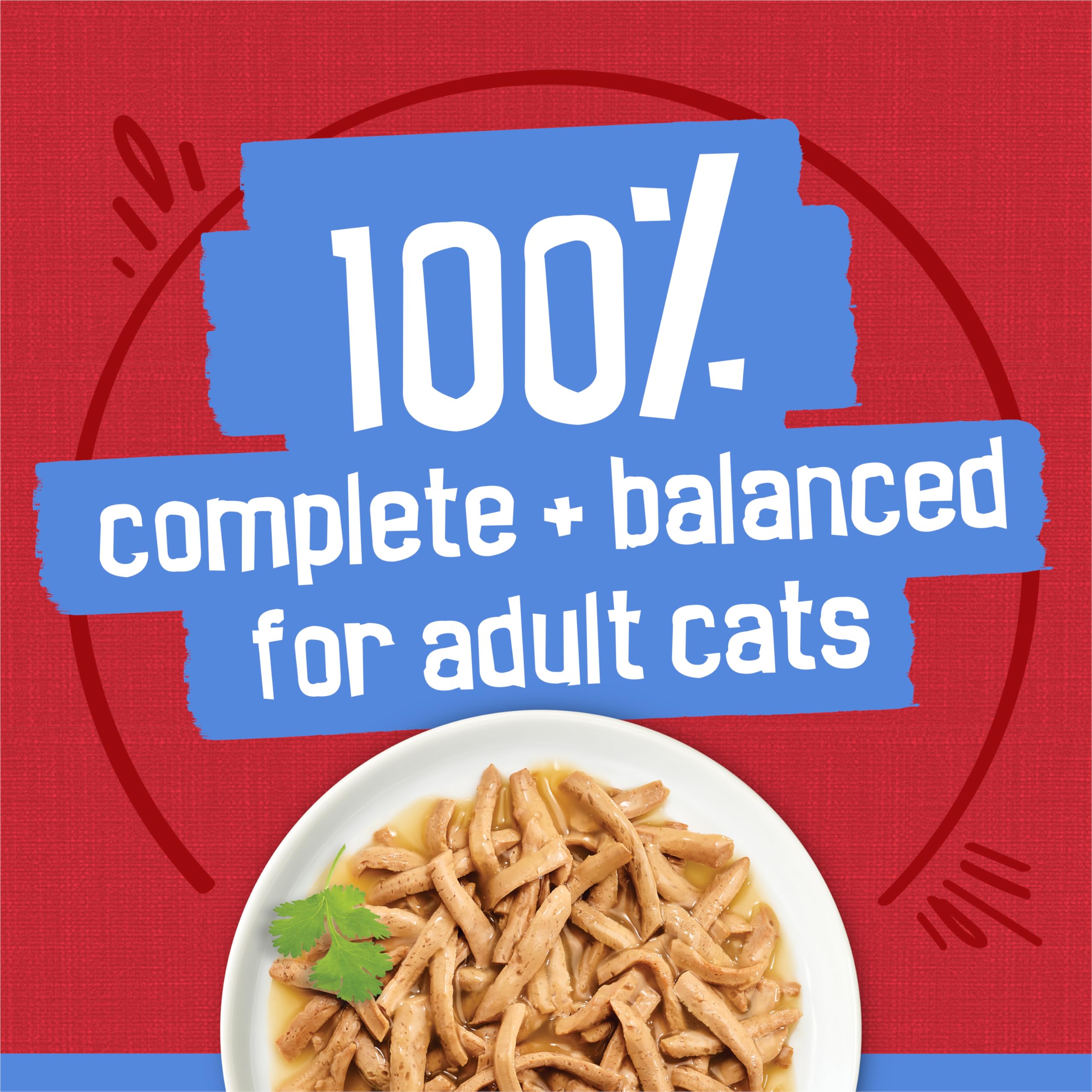 Friskies gato comiendo del plato, mejora aceptación y disfrute