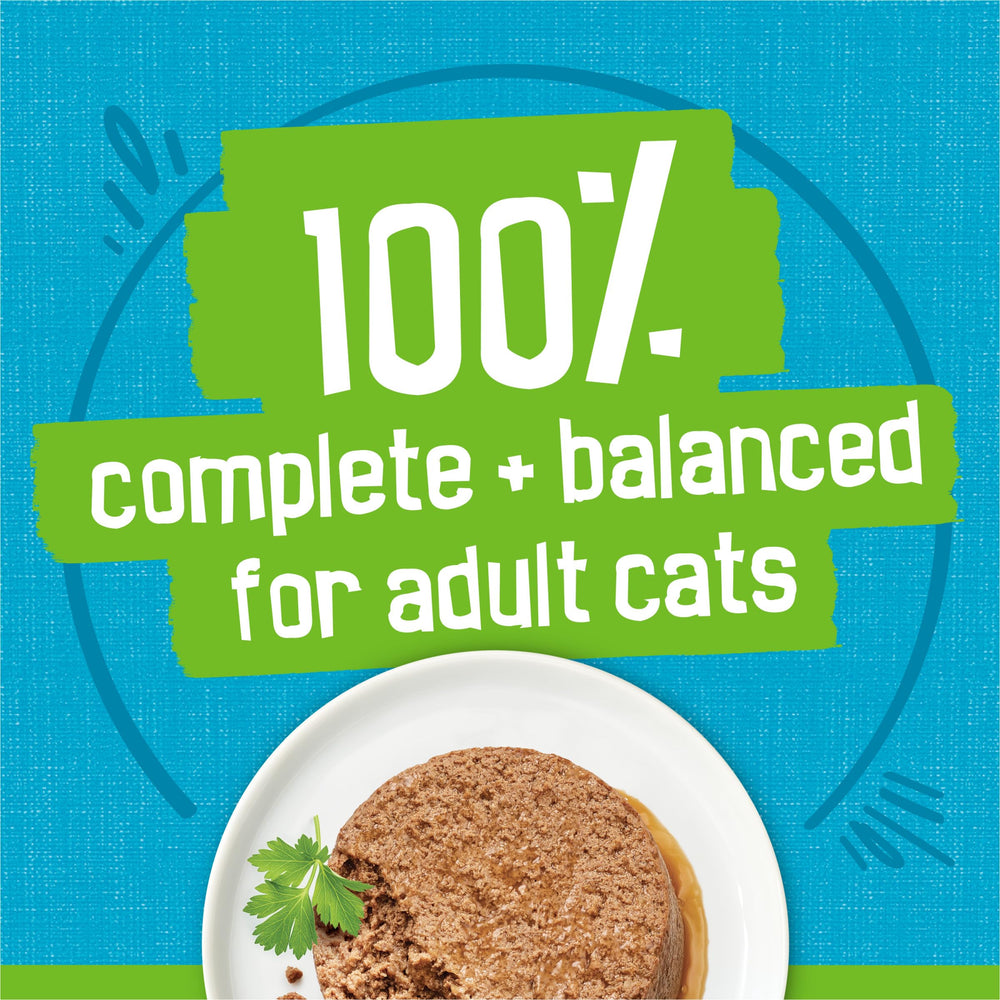 Friskies porción servida en plato listA para comer y estimular apetito