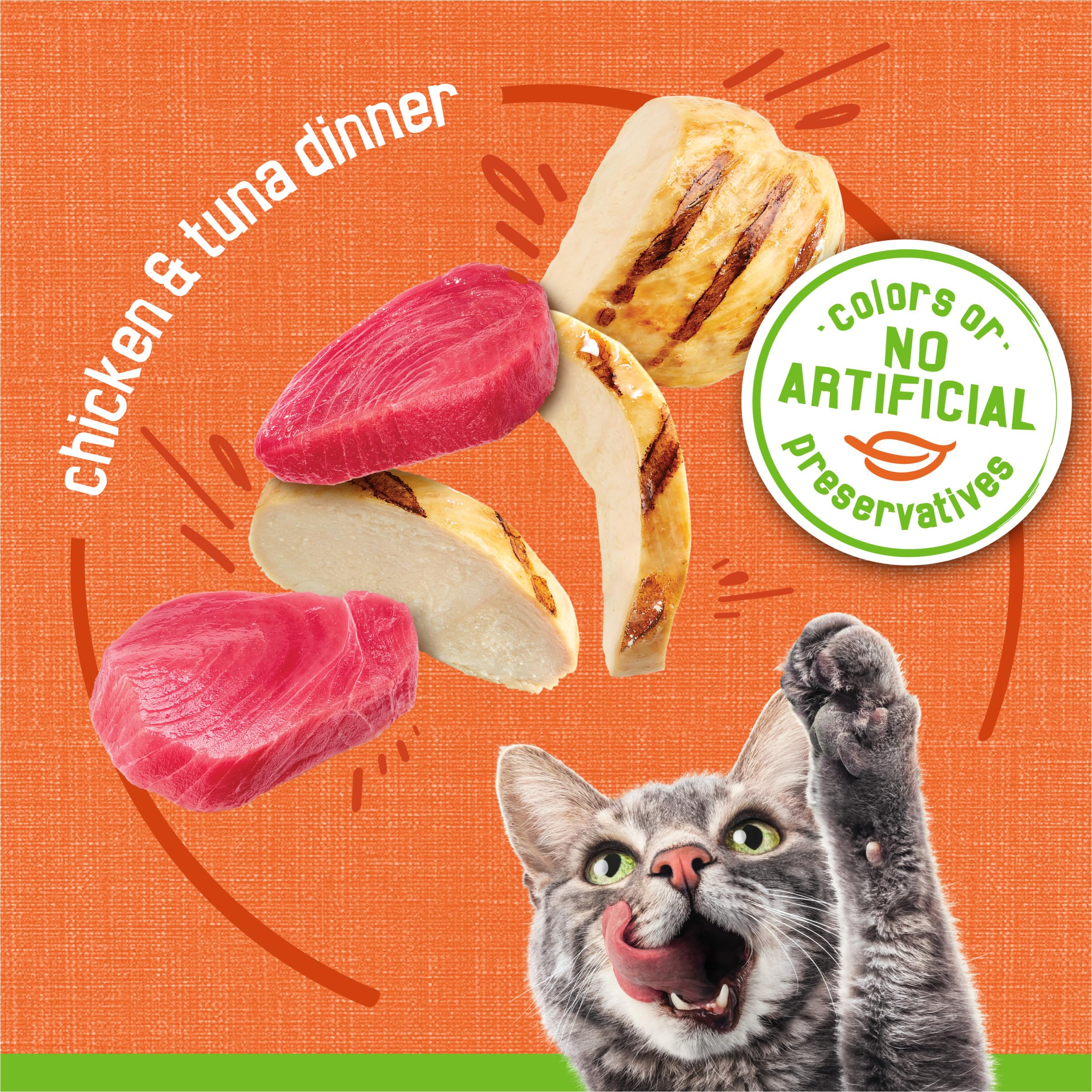 Friskies porción servida en plato, facilita control de raciones y presentación