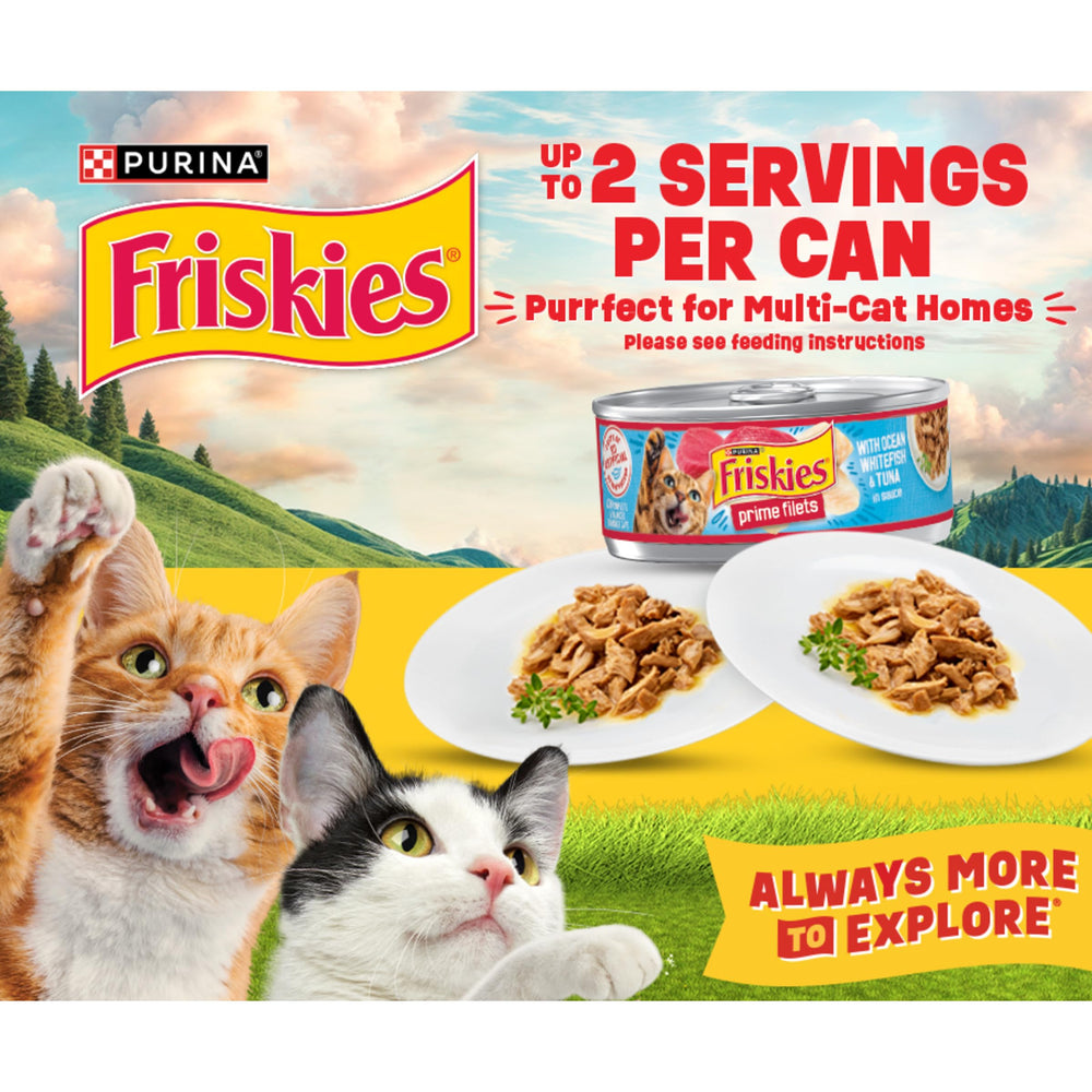 Friskies prime filets almacenamiento en despensa ordenada, práctico para familias
