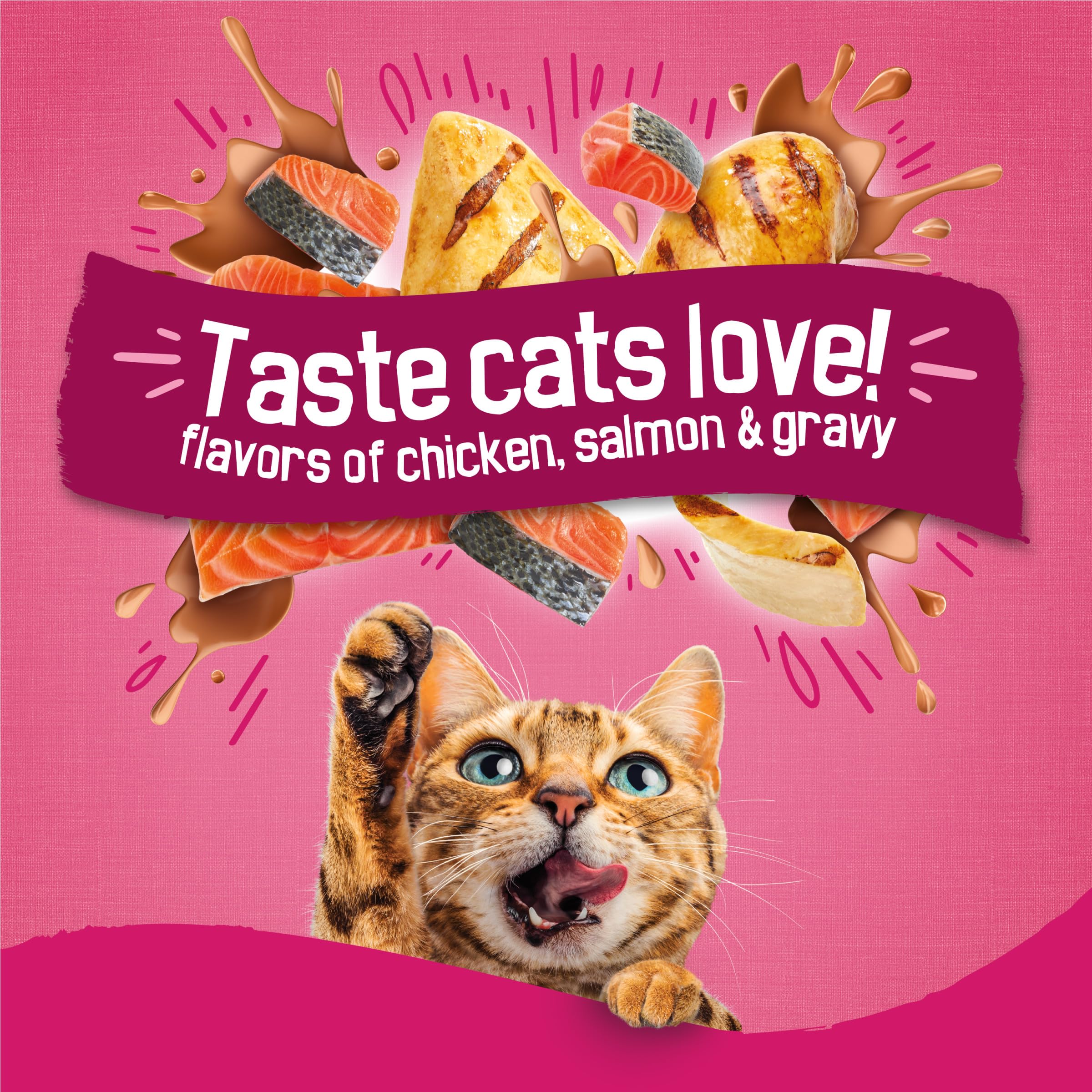 Friskies textura de croqueta en primer plano destacando crocante y sabor
