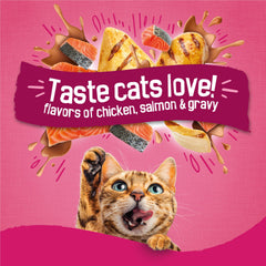 Friskies textura de croqueta en primer plano destacando crocante y sabor
