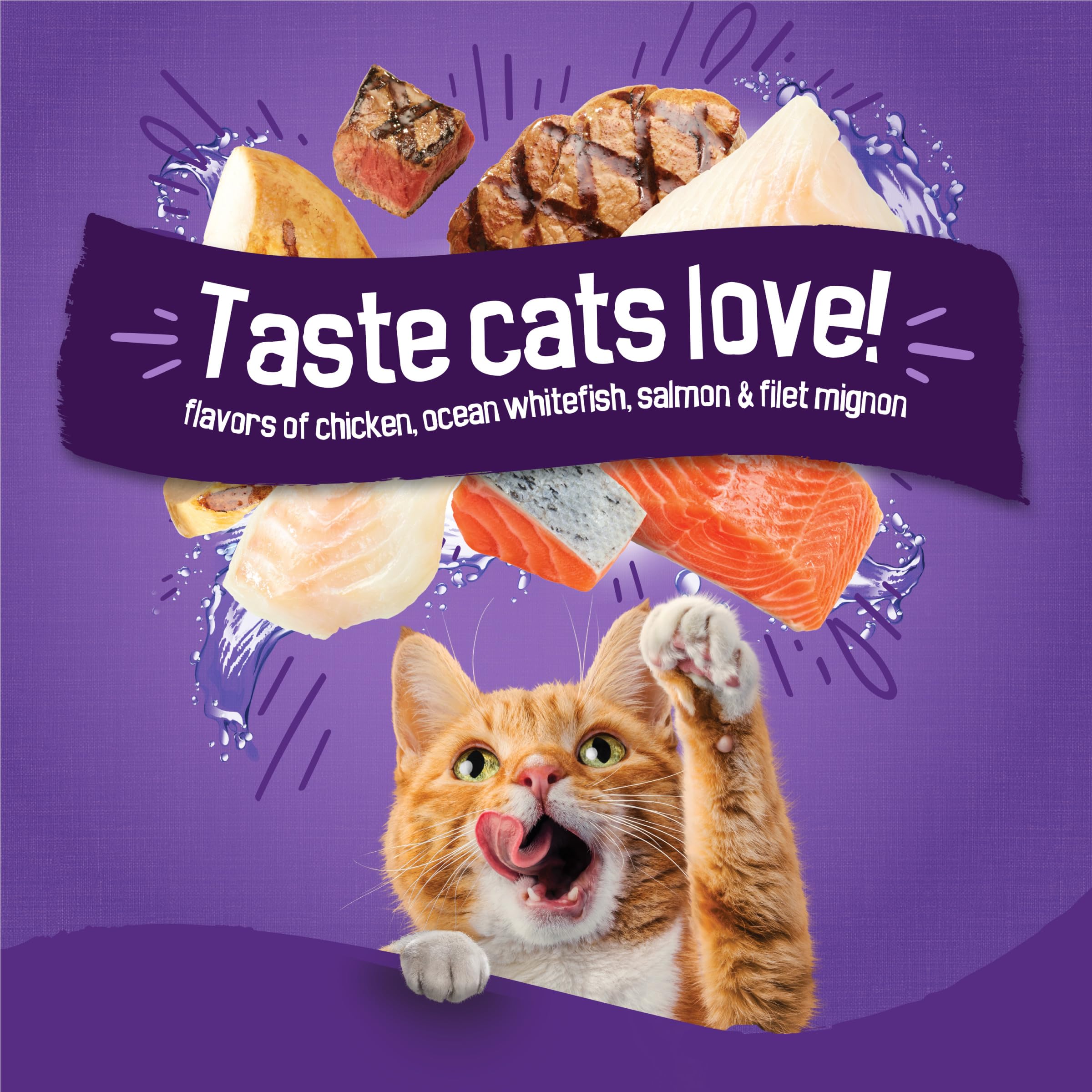 Friskies ocean whitefish kibbles displayed to show variety