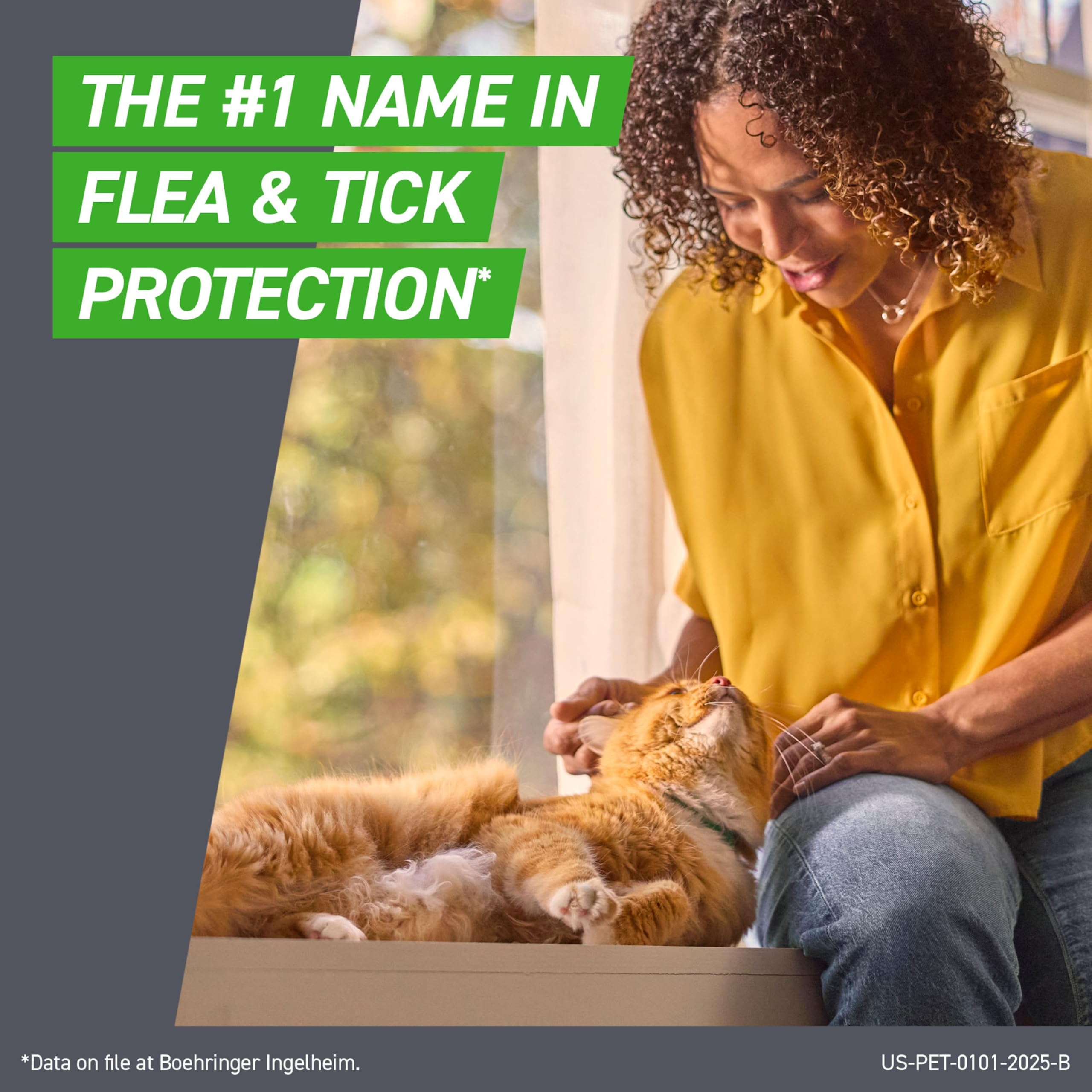 Demonstration image applying Frontline to a cat’s neck showing simple, targeted dose