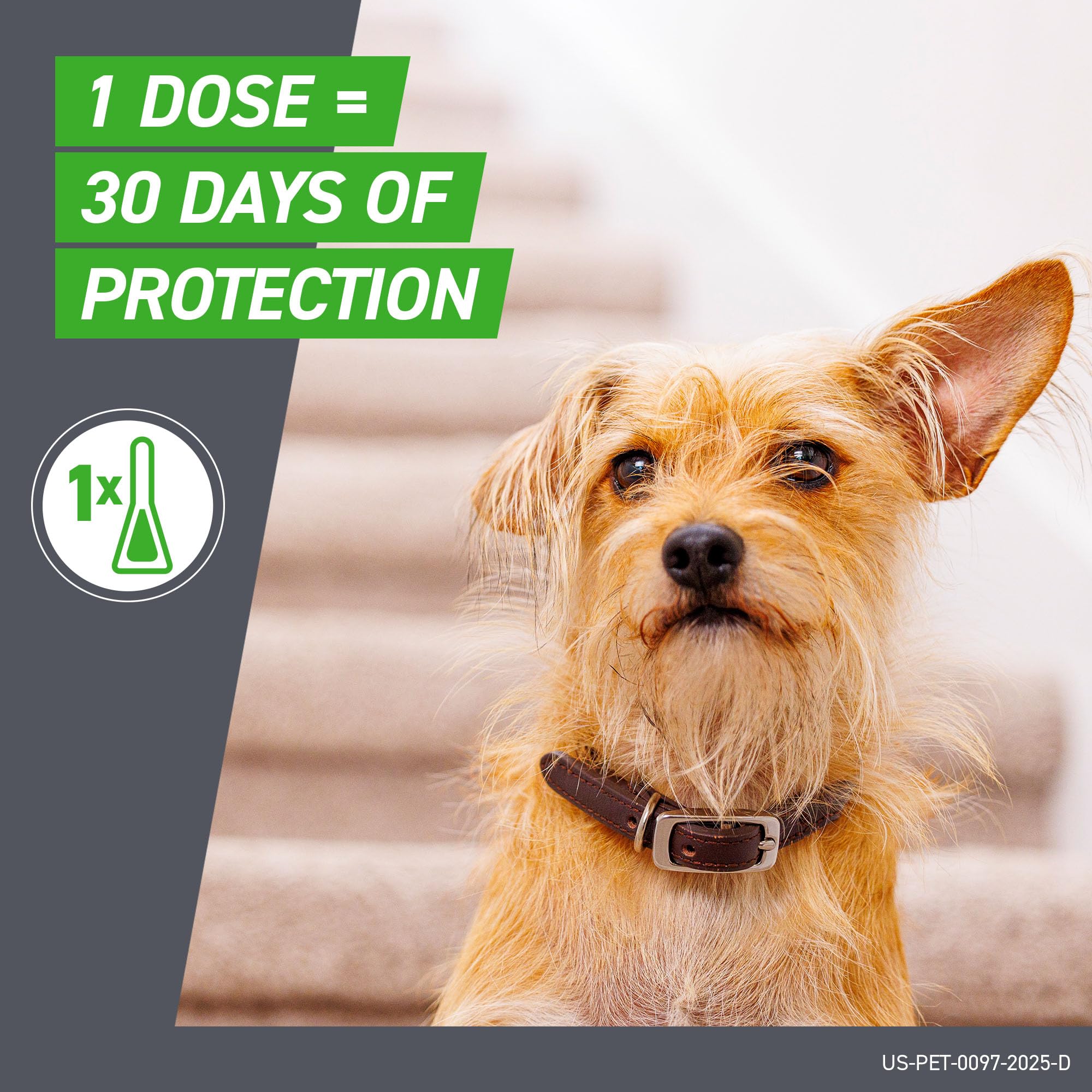 Etiqueta de Frontline Plus con información de ingredientes y tamaño para perros grandes