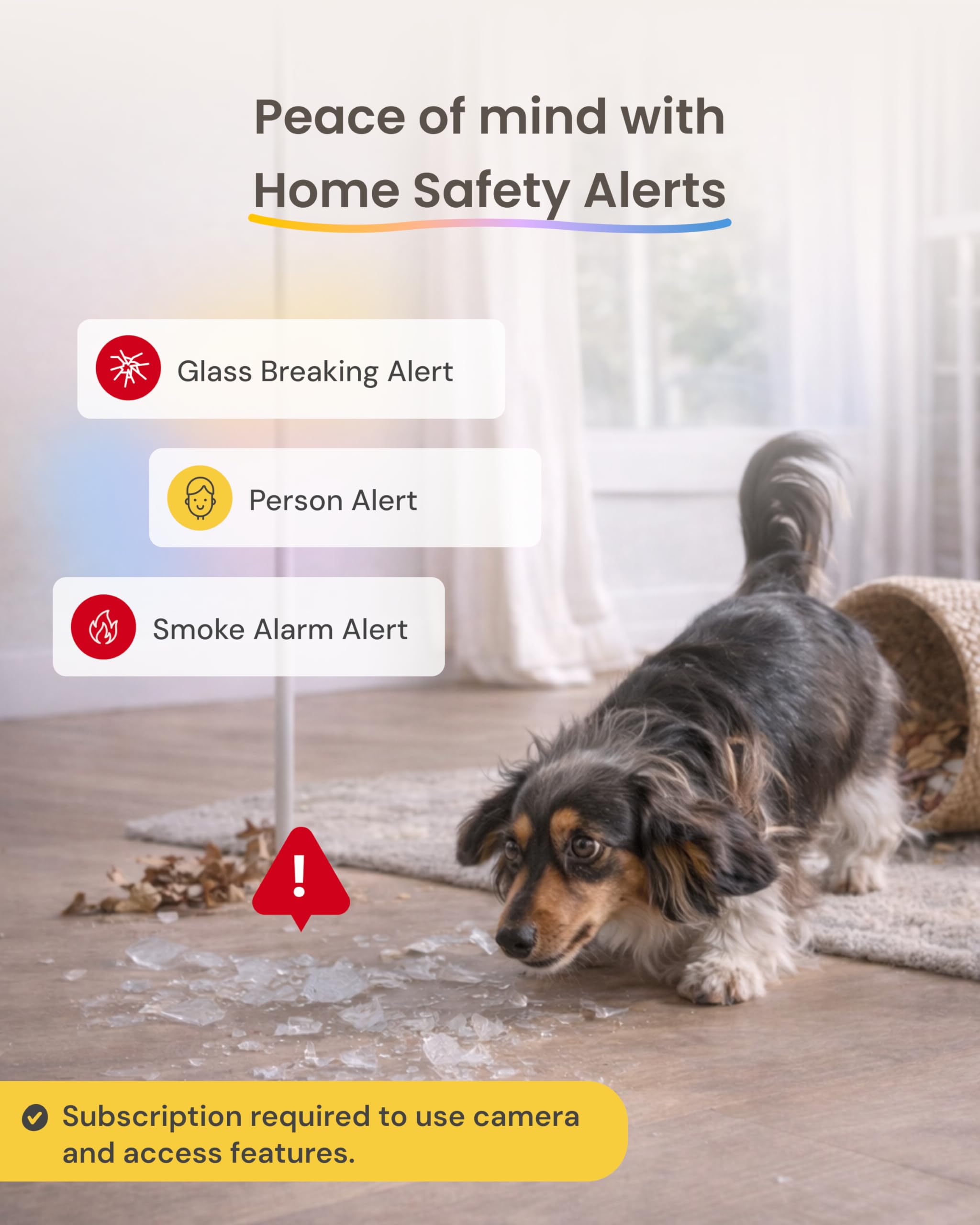 Notificación de alerta Furbo Nanny en la app por ladridos detectados