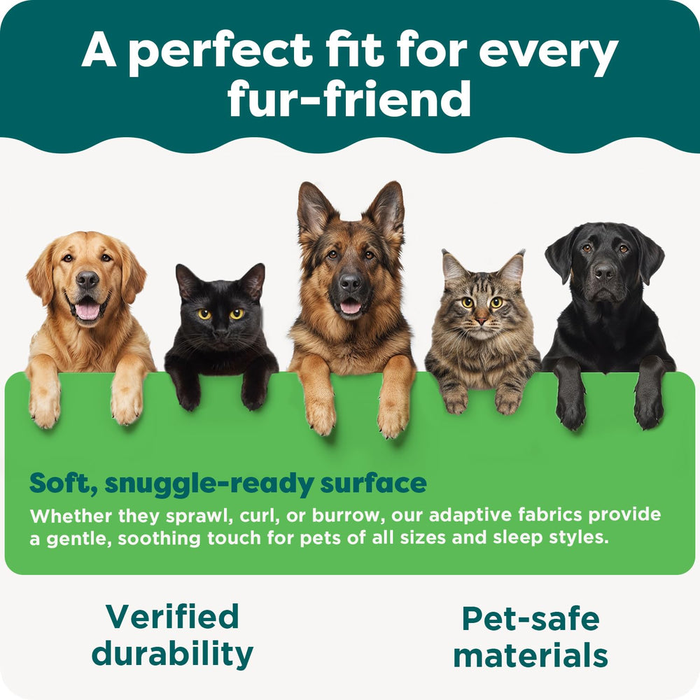 FurHaven playpen next to common items for quick size comparison