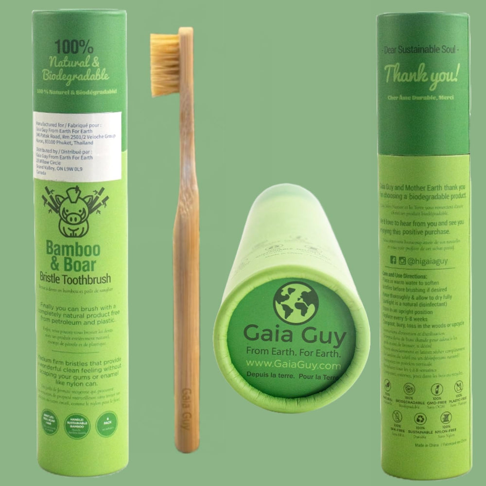 Gaia Guy pack abierto con seis cepillos distribuidos, ahorro y rotación