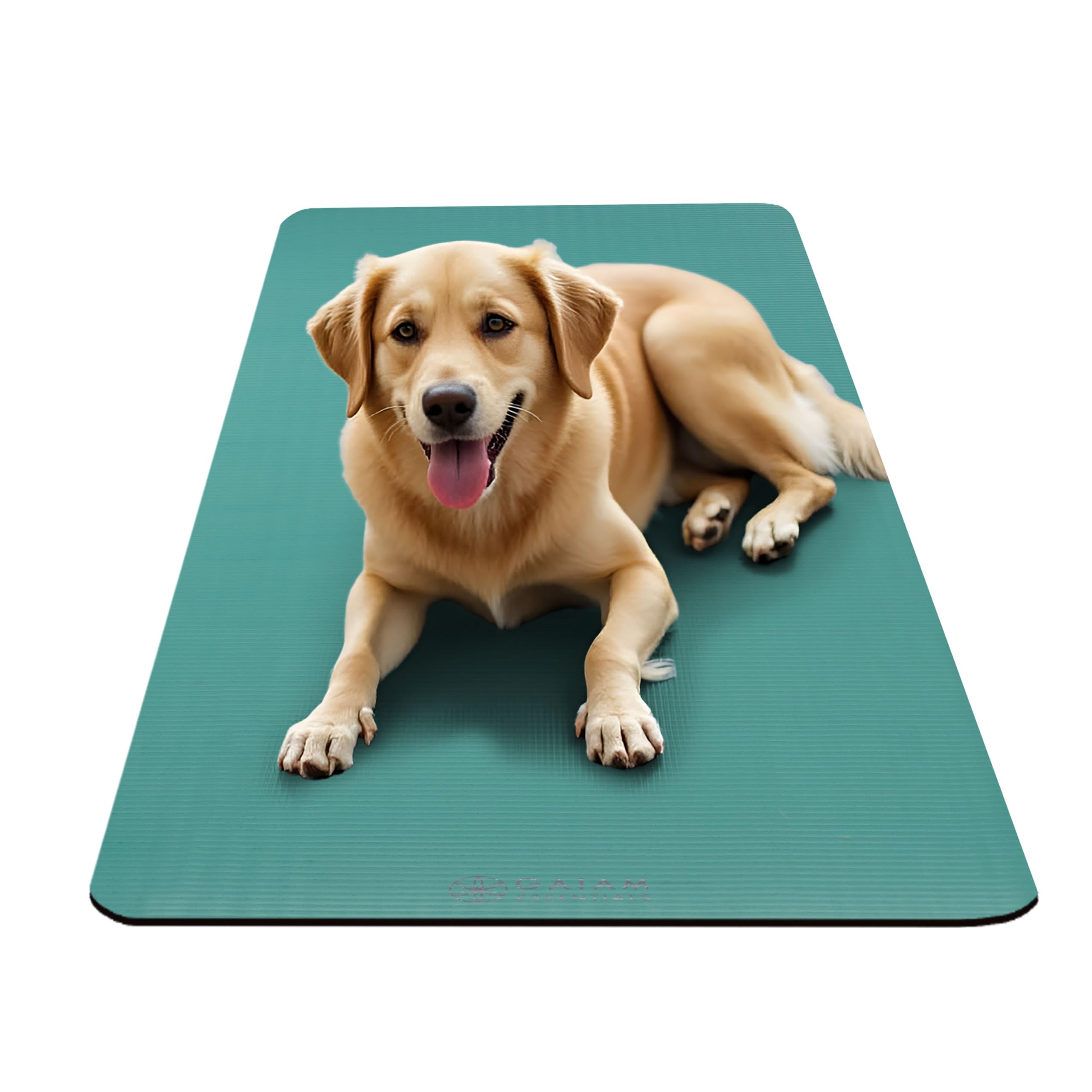 Gaiam comparación de tamaño junto a una mano para referencia