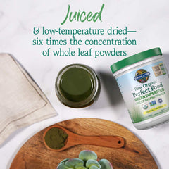Garden of Life closeup of juiced greens powder showing concentrated color