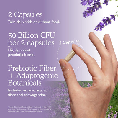 Garden of Life Alaskan blueberries demonstrating antioxidant ingredient benefit