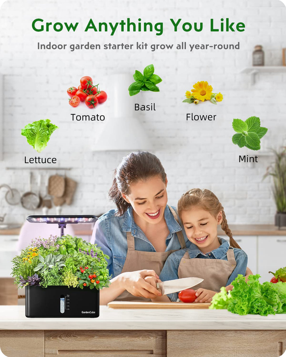 GARDENCUBE en uso dentro de AeroGarden demostrando crecimiento ordenado