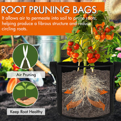Gardzen maceta llena con planta de tomate que facilita cultivo urbano