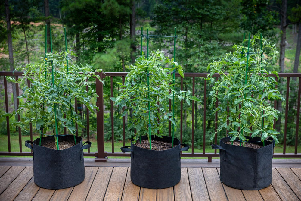 Gardzen outdoor lifestyle with multiple pots on patio showing space-saving container gardening