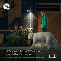 GE PAR38 installed on porch fixture providing bright security lighting