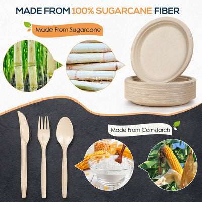 Gezond sugarcane plate close-up highlighting sturdy texture and leak resistance