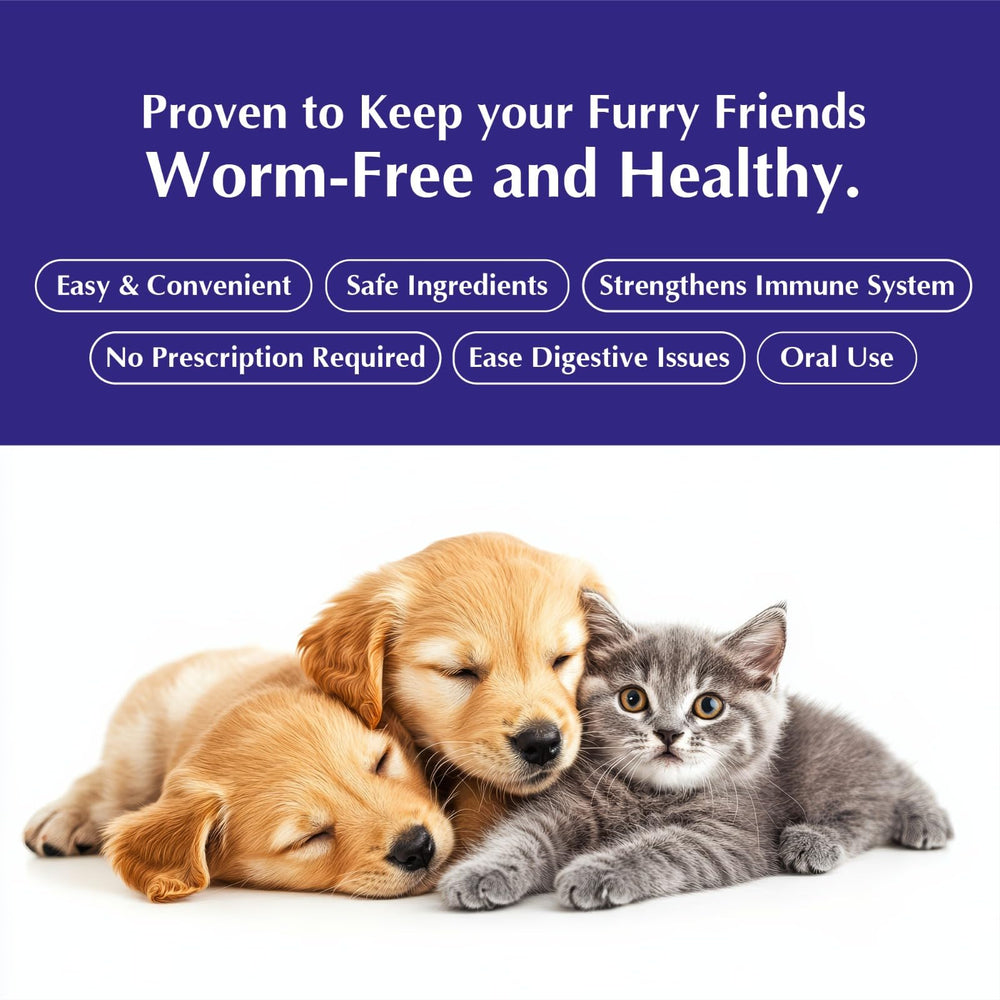 Giarcidia cat eating mixed food showing improved acceptance benefit