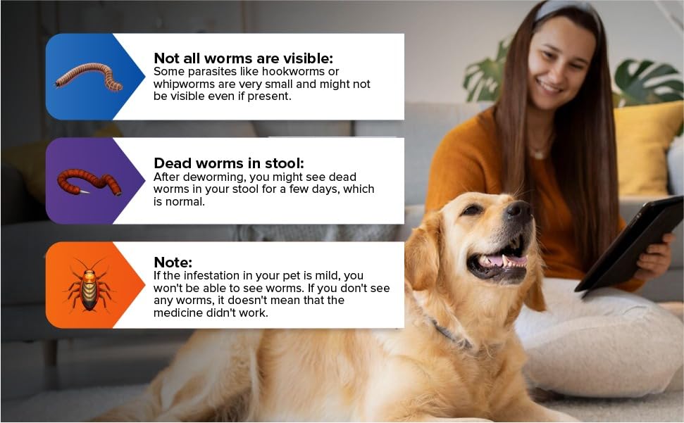Giarcidia dog being dosed demonstrating stress-free administration benefit