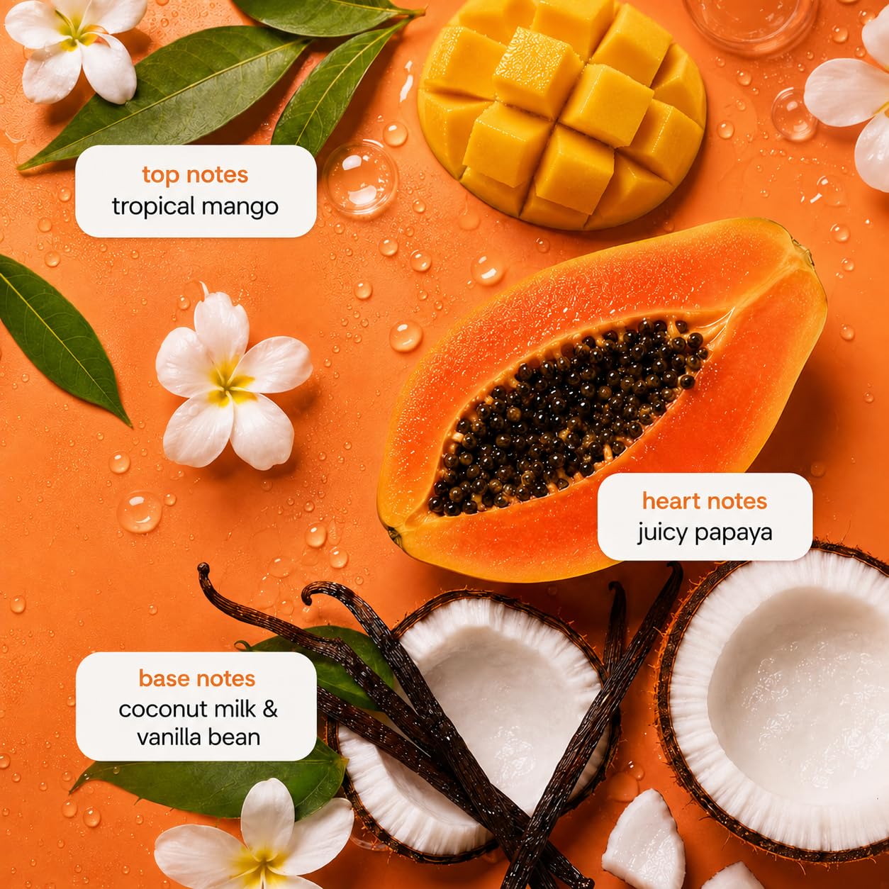 Ginger Lily Farms vertiendo el contenido para rellenar dispensador eco
