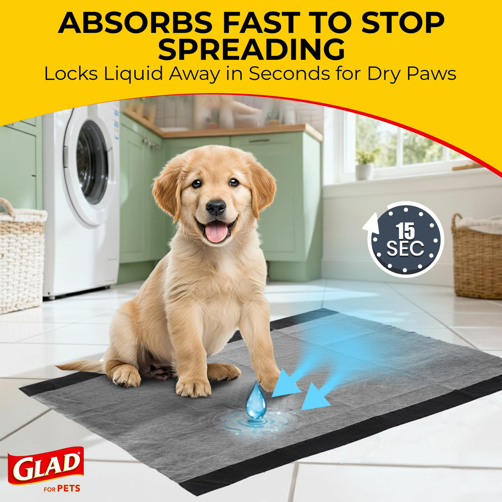 Glad comparación escala con perro grande para visualizar cobertura amplia