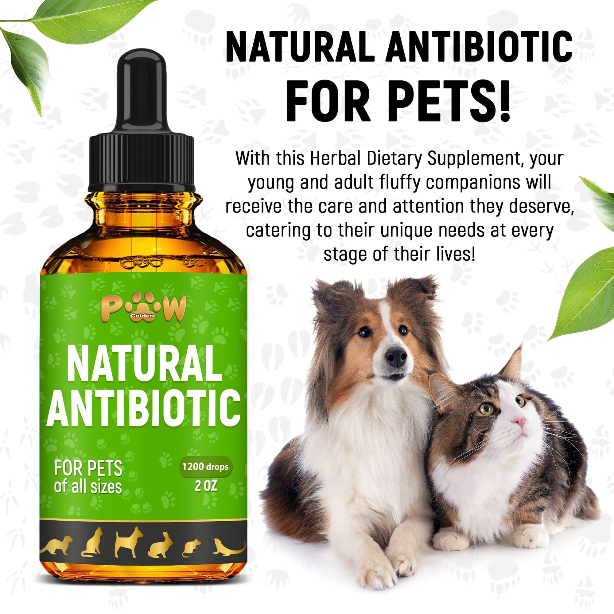 Golden Paw hojas de orégano, ingrediente natural con beneficios