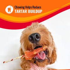 GOOD 'N' FUN perro masticando alita disfrutando sabor y entretenimiento prolongado