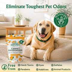 Good Natured Brand powder being sprinkled on carpet to remove odors