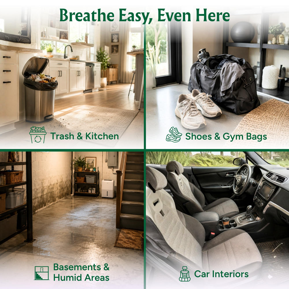 Good Natured Brand vacuuming treated carpet showing clean fiber refresh benefit