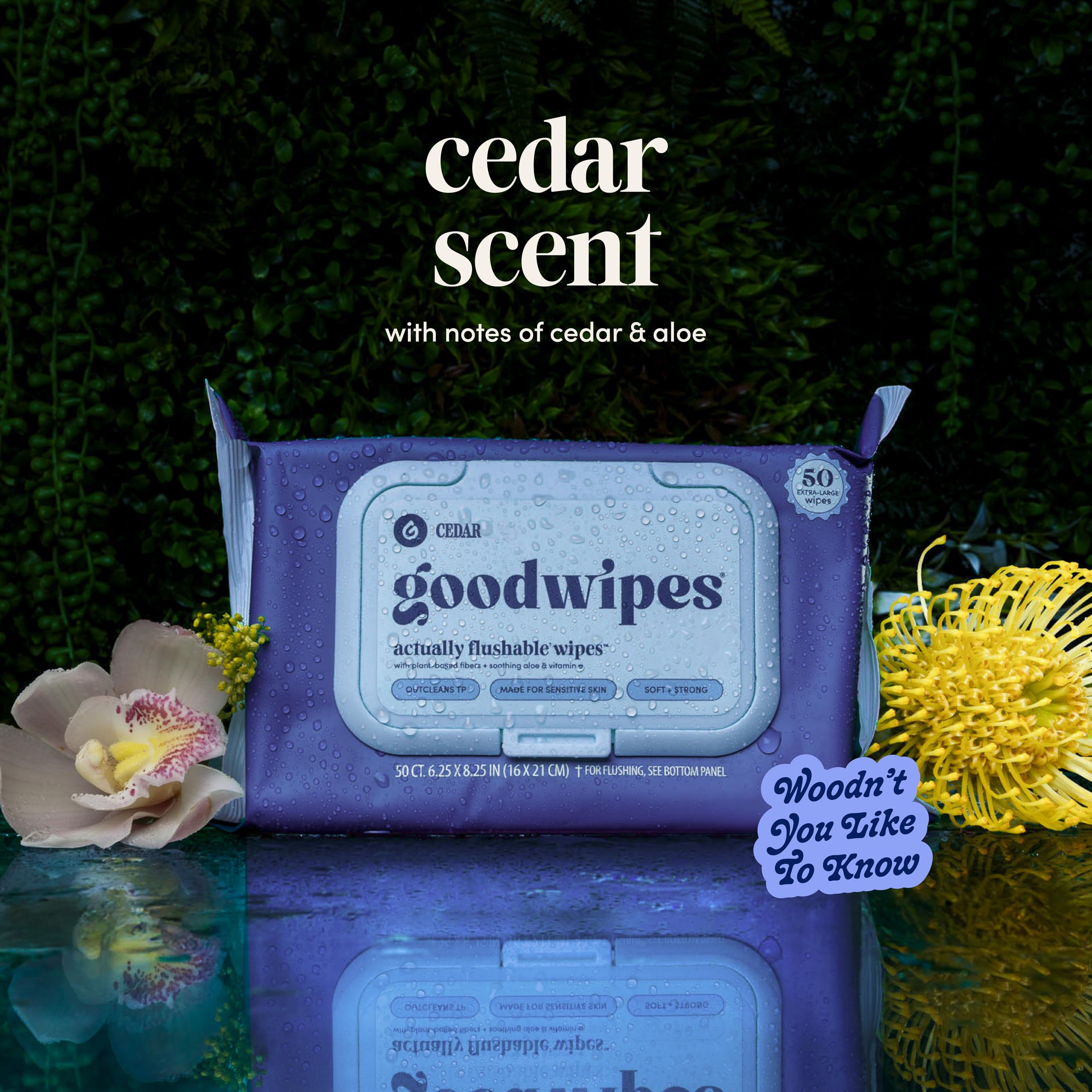 goodwipes ambiente de baño con aroma cedro transmite frescura