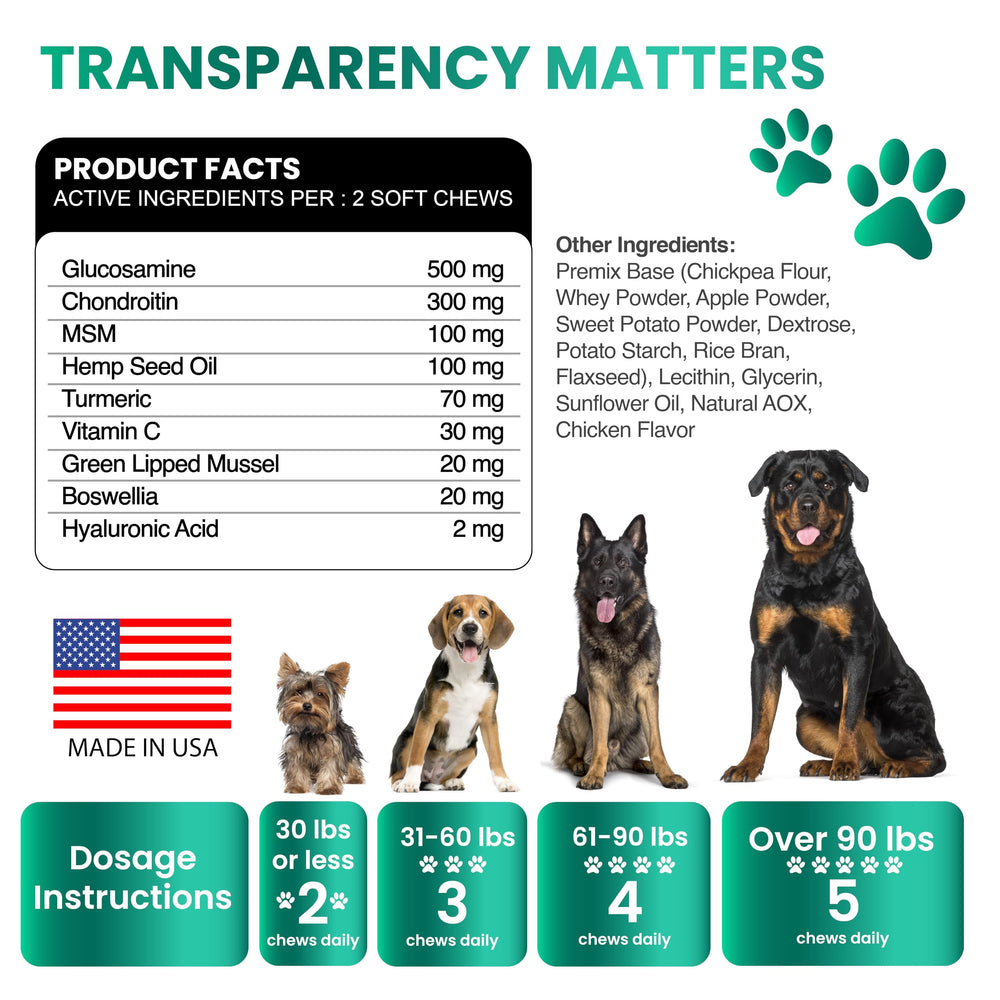 Grateful Pawz on puppy during neighborhood walk, supports active mobility