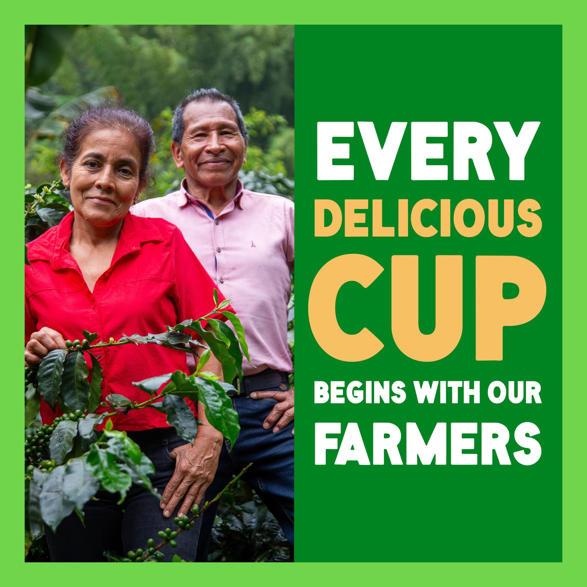 Green Mountain Coffee Roasters taza preparada con cuerpo y aroma intenso