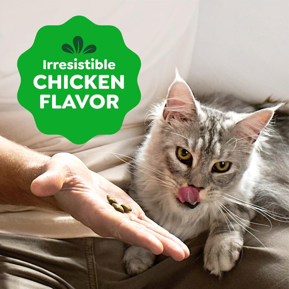 Greenies ambiente doméstico gato feliz mostrando brillo de pelaje