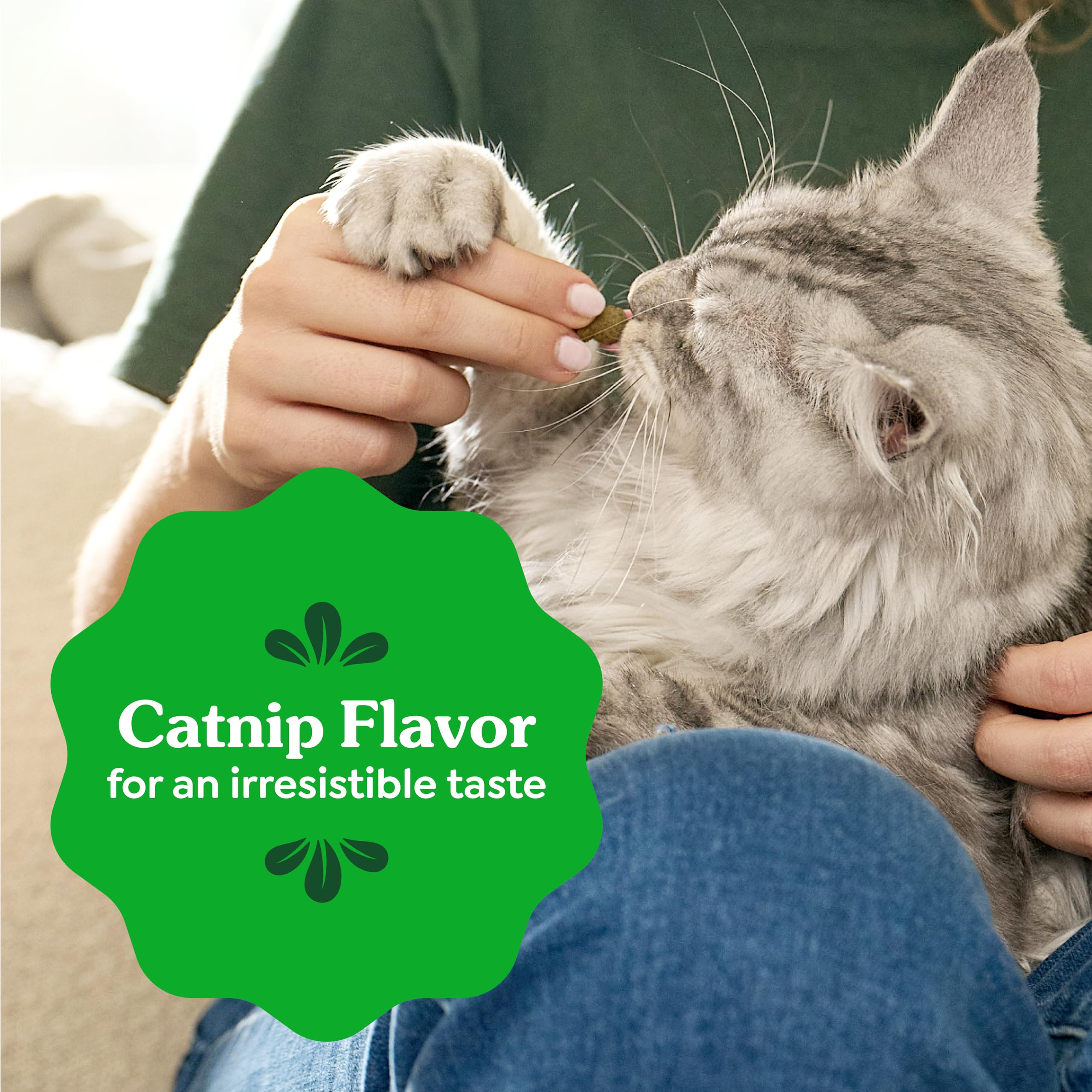 Open pouch of Greenies showing quantity and easy-access packaging