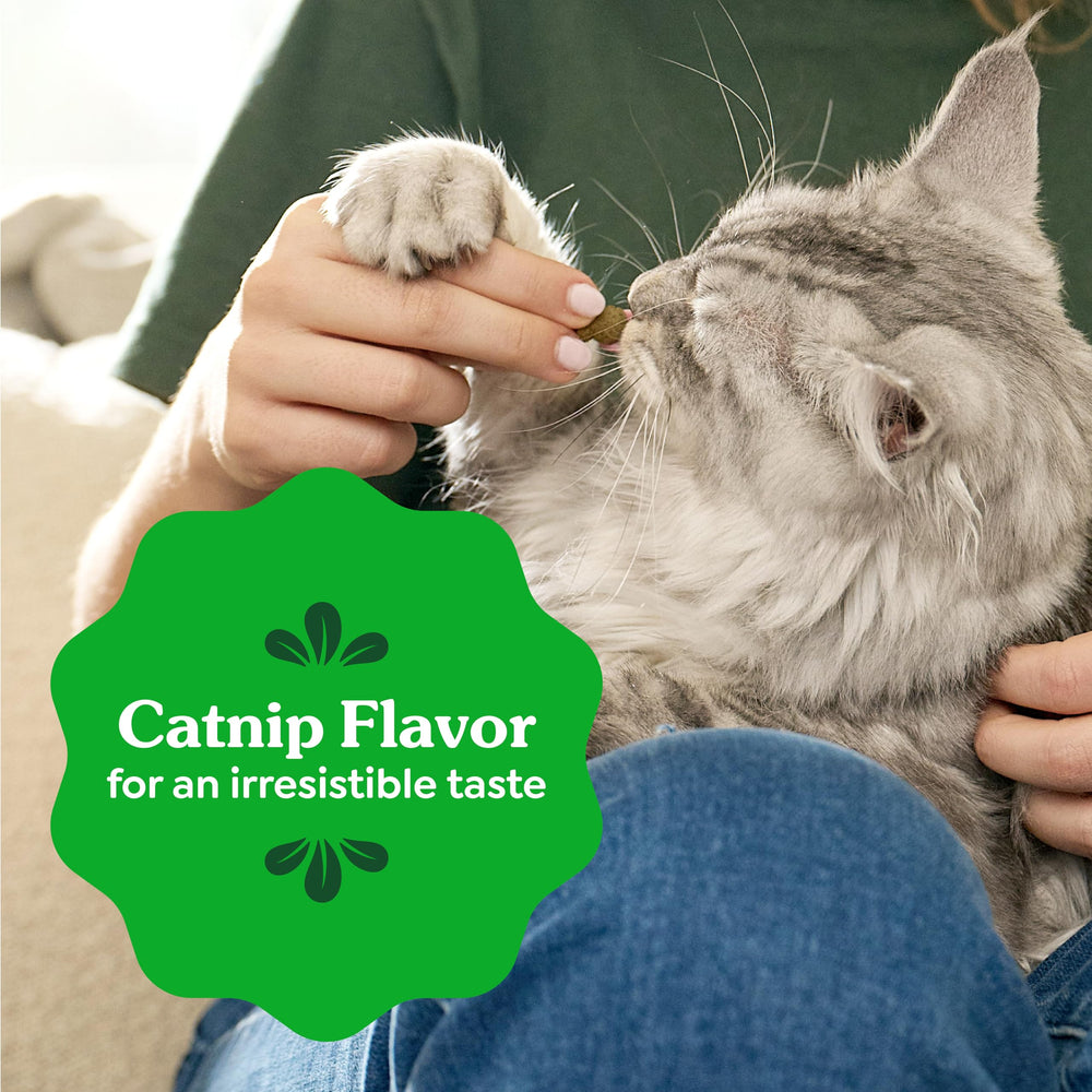 Open pouch of Greenies showing quantity and easy-access packaging