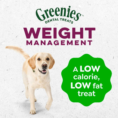 Medium dog enjoying Greenies on kitchen floor, Greenies freshens breath