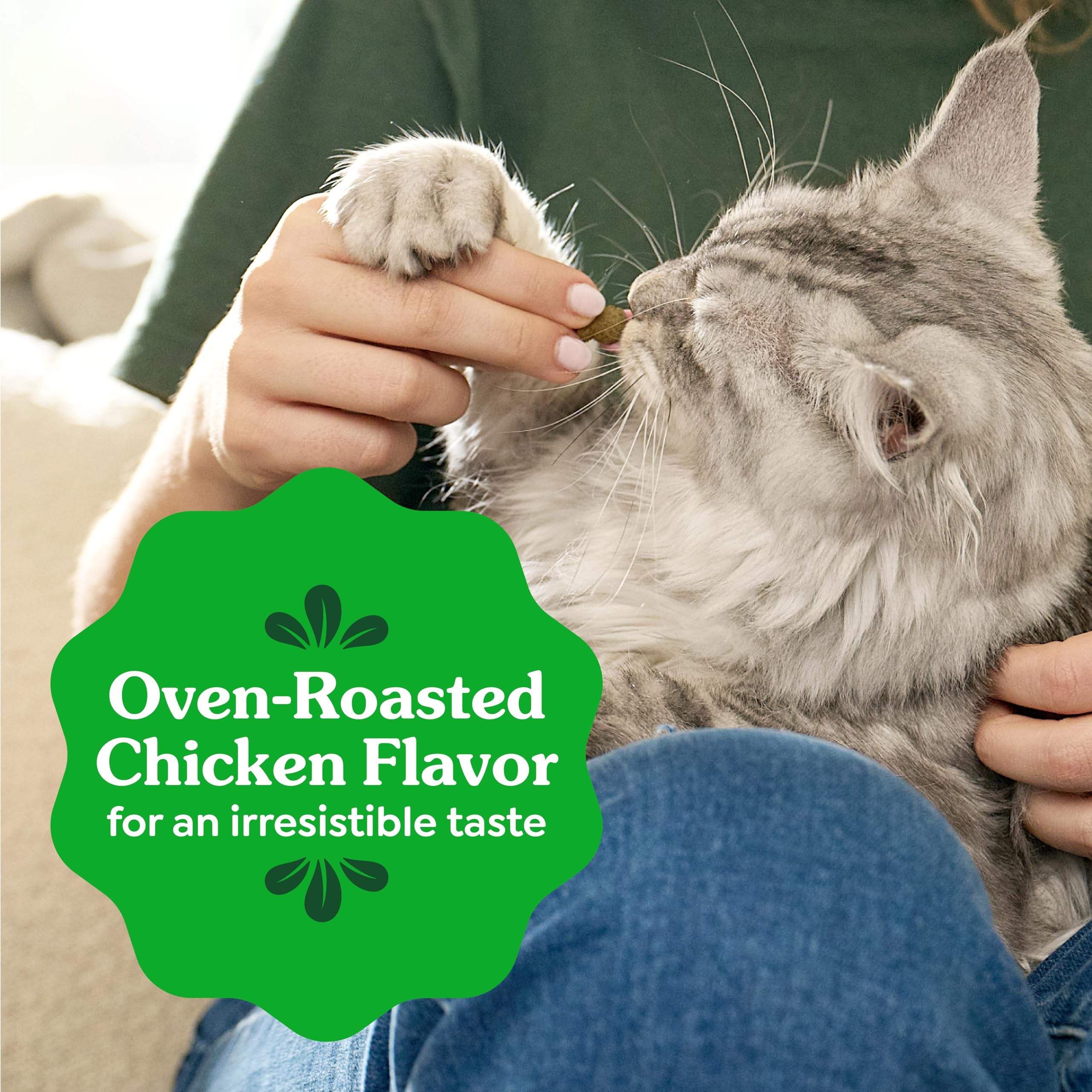 Cat owner offering Greenies in kitchen showing daily routine convenience benefit