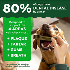 greenies single treat next to hand showing teenie size for small dogs