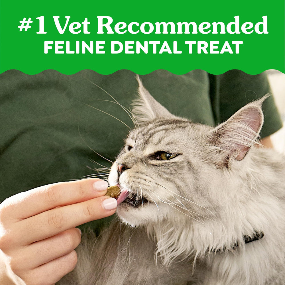 Pile of Greenies treats displaying shape and size for effective plaque removal