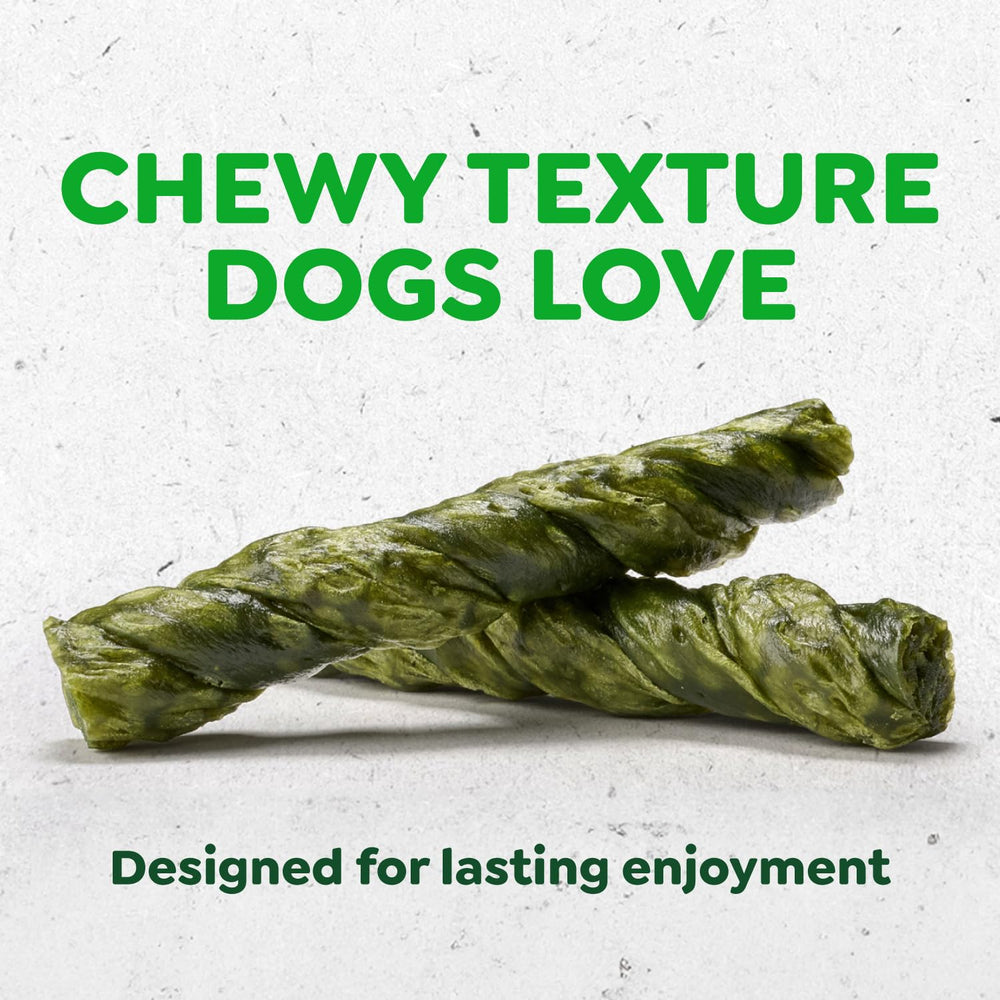 Greenies perro masticando twist en casa mostrando entretenimiento calmante