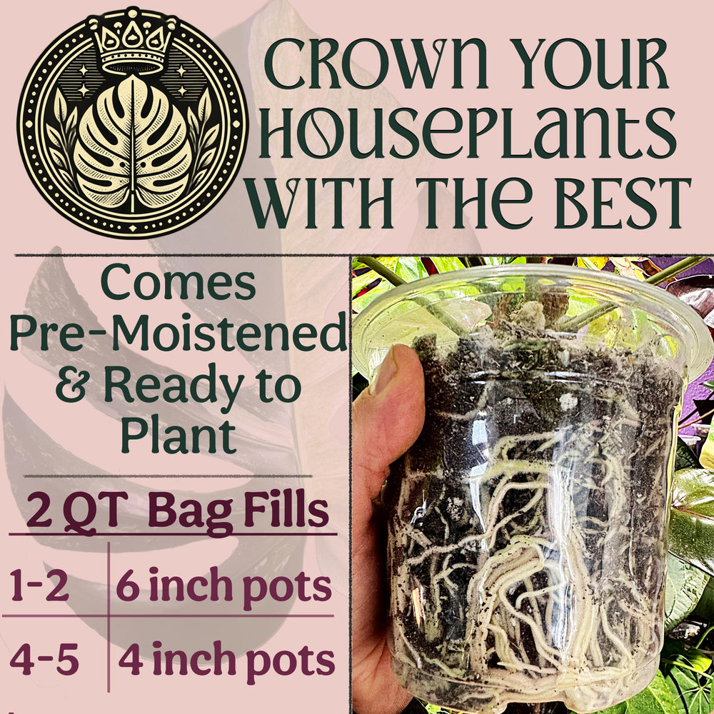 Grow Queen castilla de lombriz orgánica en mezcla, aporta nutrientes sostenidos