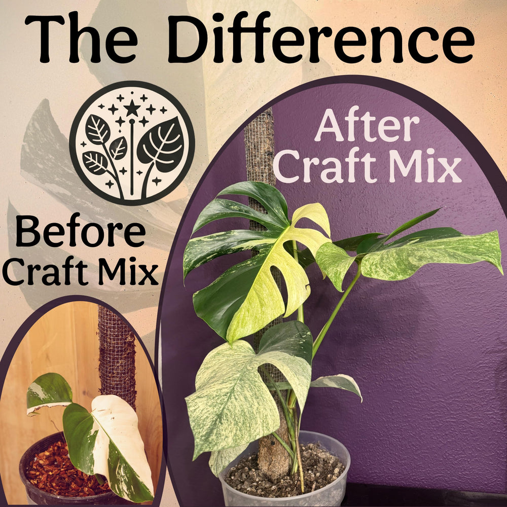 Grow Queen label and certifications showing organic and peat-free credentials