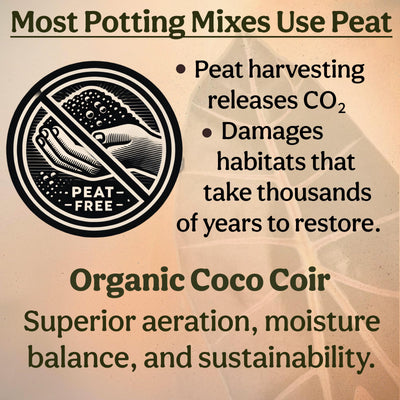 Grow Queen moist ready mix in bowl showing pre-mixed convenience and pet safety
