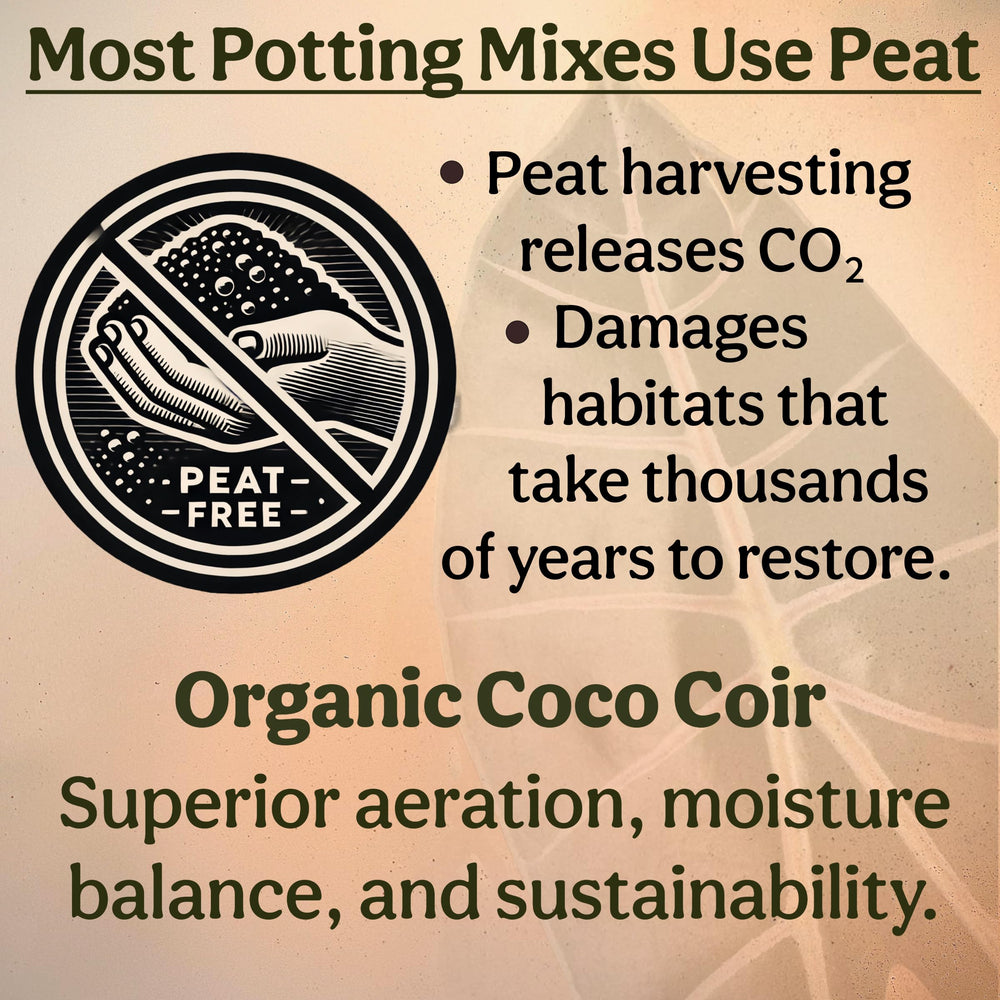 Grow Queen moist ready mix in bowl showing pre-mixed convenience and pet safety