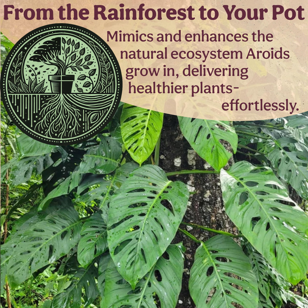 Grow Queen tree fern fiber close-up illustrating pH buffering and plant-friendly soil